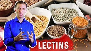 Lectins and Autoimmune Conditions [upl. by Aimil332]