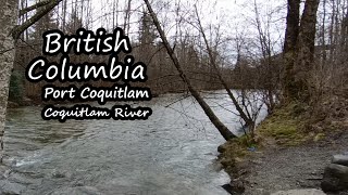 British Columbia  Port Coquitlam Coquitlam River [upl. by Anaxor]