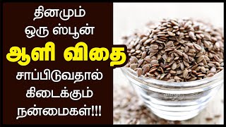 ஆளி விதை பயன்கள்  Flax Seed Benefits in Tamil  How to Eat Flax Seeds Flaxseed Powder Health Tips [upl. by Terence11]