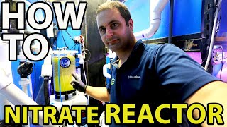 HOW TO SET UP A NITRATE REACTOR [upl. by Crissie]