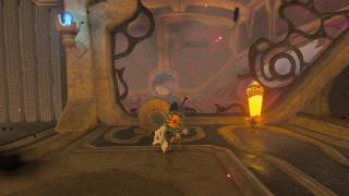 Vah Medoh walkthrough Bird Dungeon  All Chests and Terminals  Breath of the Wild [upl. by Galatea]