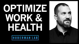 Maximizing Productivity Physical amp Mental Health with Daily Tools [upl. by Elbam]