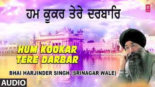 HUM KOOKAR TERE DARBAR  BHAI HARJINDER SINGH SRINAGAR WALE [upl. by Efinnej]