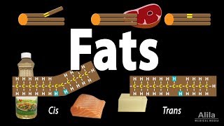 Unsaturated vs Saturated vs Trans Fats Animation [upl. by Alla]