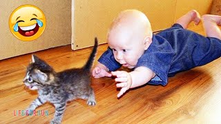 Смешные видео о детях и животных ● приколы с котами и собаками  Funny Baby Playing With Cats [upl. by Alleoj482]