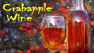 Making Crabapple Wine at Home [upl. by Leahey]