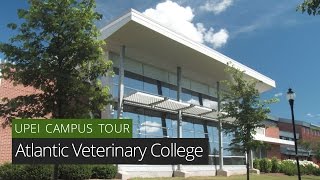 Atlantic Veterinary College  UPEI Campus Tour [upl. by Kosey262]