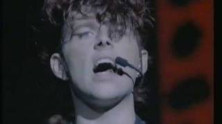 Thompson Twins  Hold me now  No peace for the wicked Live  1984 [upl. by Orteip583]