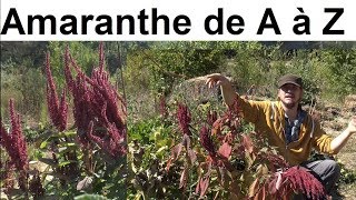 L Amaranthe de A à Z presque [upl. by Sardella]