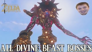 ALL DIVINE BEAST BOSS FIGHTS  The Legend of Zelda Breath of the Wild [upl. by Zannini]