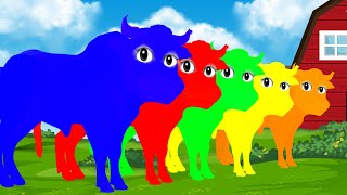 PINTA E LIMPA BOI DA CARA PRETA 🐂🎨 APRENDENDO AS CORES 🎨 LEARN COLOR 🎨 Pinta y Limpia Colores🖌️🎨 [upl. by Miles86]