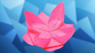 How to make an Origami Water Lily [upl. by Ateuqirne739]