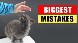 20 Common Mistakes Cat Owners Make [upl. by Yhprum974]