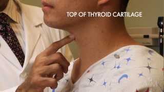 The Thyroid Exam Stanford Medicine 25 [upl. by Oballa]