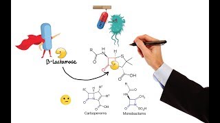 Pharmacology – ANTIBIOTICS – CELL WALL amp MEMBRANE INHIBITORS MADE EASY [upl. by Milewski938]