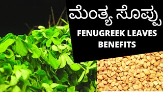 Fenugreek leaves benefits  Menthya soppu in kannada  Kannada Health Tips [upl. by Ueihttam235]