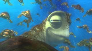 FINDING NEMO 3D Clip  Im from the Ocean [upl. by Hillier389]