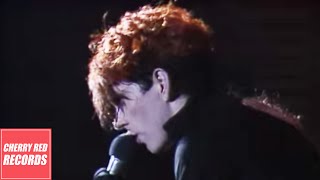 Thompson Twins  In The Name Of Love  Live at the Royal Court Theatre Liverpool UK 1986 [upl. by Psyche380]