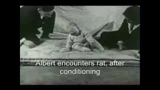 Little Albert Experiment Watson [upl. by Cirtap307]