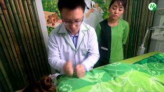 Tui Na Massage  Traditional Chinese Medicine  KindCare [upl. by Nessa]