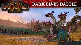 Total War WARHAMMER 2  Dark Elves Battle Lets Play [upl. by Rab929]