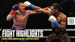 HIGHLIGHTS  Demetrius Andrade vs Liam Williams [upl. by Lavina]