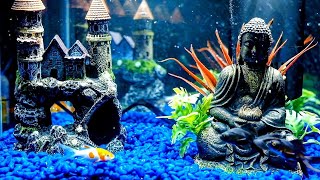 Fish Tank for Cats To Watch  12 Hour Aquarium  Underwater Bubble Sounds [upl. by Katsuyama591]