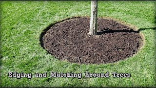 Edging and Mulching Around Trees  How To Redefine An Edge [upl. by Gunilla]