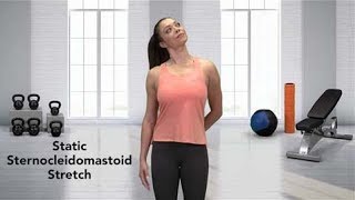 How to do a Sternocleidomastoid Stretch [upl. by Marni422]