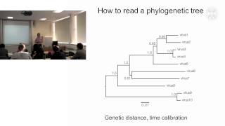 1 Phylogenetic analysis of pathogenslecture  part1 [upl. by Gawain524]