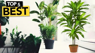 ✅ TOP 5 Best Artificial Plants  2024 Buyers Guide [upl. by Edaj]