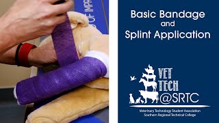 Basic Bandage and Splint Application [upl. by Carver295]