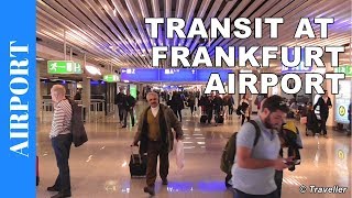 TRANSIT WALK AT FRANKFURT Airport FRA Terminal 1  Connection Flight Transfer Arriving amp Departing [upl. by Arnulfo136]