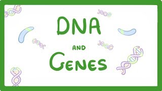 Genetics 101 Part 1 of 5 What are genes [upl. by Cristiano]