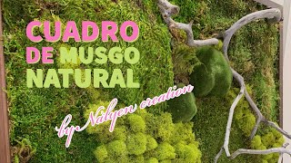 Cómo hacer un cuadro de musgo natural [upl. by Fedak]