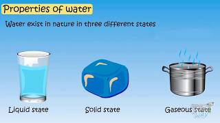 Properties of Water For Kids  Science  Tutway [upl. by Wolf199]